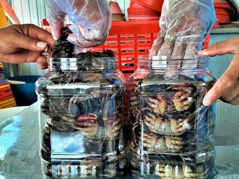 Muối ba khía đất Mũi, con đường thành di sản