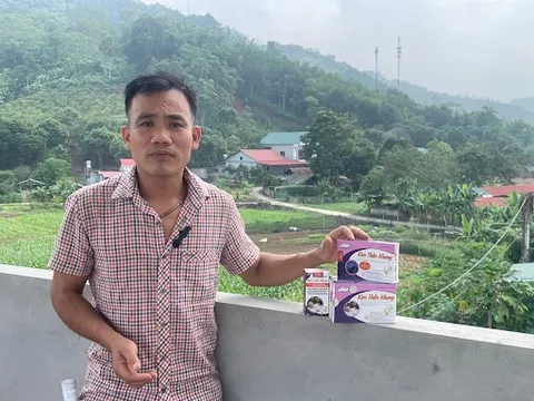 Vượt qua mất ngủ, rối loạn lo âu, trầm cảm chỉ sau 3 tháng nhờ thảo dược quý!