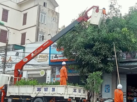 EVNNPC sẵn sàng đảm bảo cấp điện trong dịp Tết Nguyên đán và phục vụ sản xuất Đông Xuân