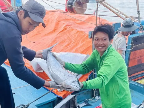 Ngư dân miền Trung rộn ràng chuyến biển cuối năm