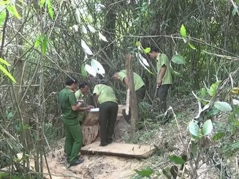 Đắk Lắk: Xem xét, thi hành kỷ luật nhiều nguyên cán bộ