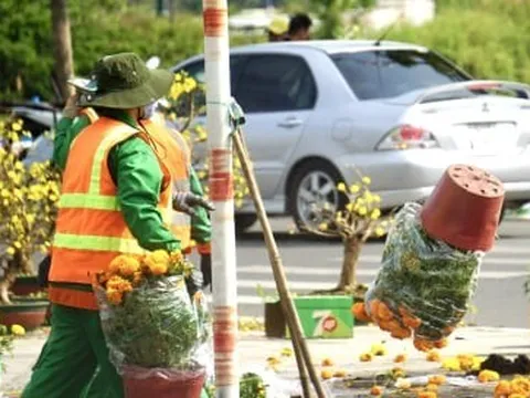 Lý do tiểu thương TP.HCM đập bỏ hoa chiều 30 Tết khiến dân mạng bất ngờ