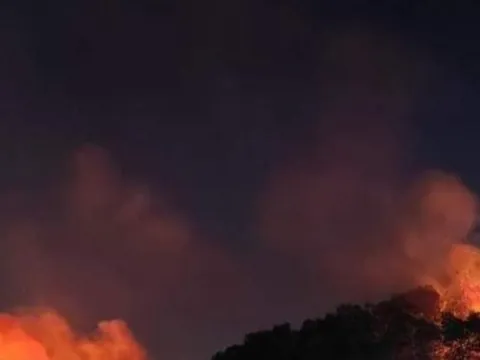 Hải Phòng kịp thời khống chế đám cháy rừng trong đêm