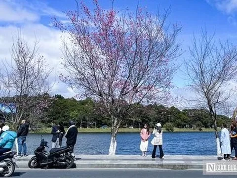 Tp.Đà Lạt dự kiến đón khoảng 280.000 du khách dịp Tết Giáp Thìn 2024
