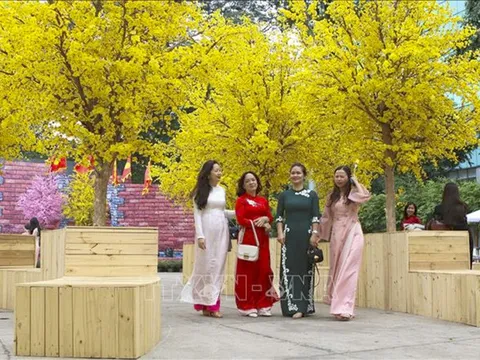 Thời tiết mùng 2 Tết: Bắc Bộ trời rét, Trung Bộ có mưa vài nơi, Nam Bộ nắng nóng