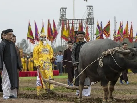 Đầu năm “vua” xuống ruộng đi cày
