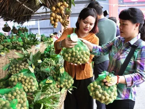 Việt Nam thu hơn 14 triệu USD từ xuất khẩu nhãn