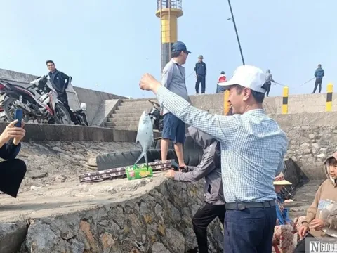 Hải Phòng: Lần đầu tổ chức Hội thi câu cá ở đảo tiền tiêu Bạch Long Vĩ