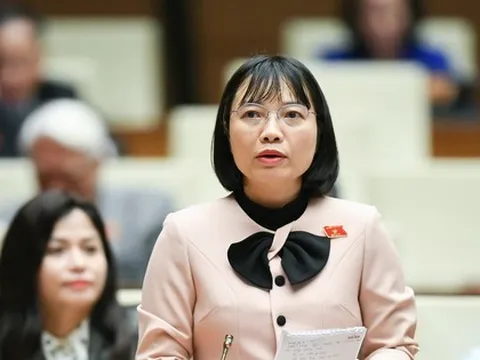 Đại biểu Quốc hội Nguyễn Thị Việt Nga: Đánh giá mức độ hoàn thành nhiệm vụ từ quý đầu năm