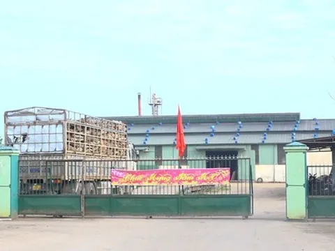 Xử phạt một doanh nghiệp xả thải chứa chất Xyanua vượt quy định hơn 21 lần