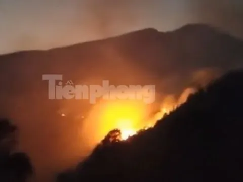 Cháy lớn tại Vườn Quốc gia Hoàng Liên, huy động gần 400 người dập lửa