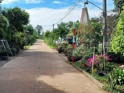 Toàn tỉnh Bình Thuận phấn đấu thêm 17 xã nông thôn mới năm 2024