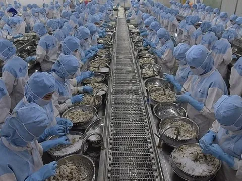 Tiếp đà tăng, dự báo xuất khẩu thủy sản cán mục tiêu 9,5 - 10 tỷ USD