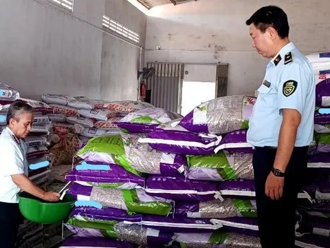 Tiền Giang: Xử lý hơn 2.000 vụ vi phạm, nộp ngân sách gần 81 tỷ đồng