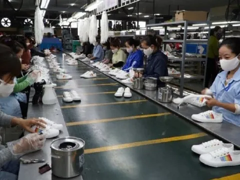 Năm 2024, độ tuổi nghỉ hưu sớm nhất là bao nhiêu?