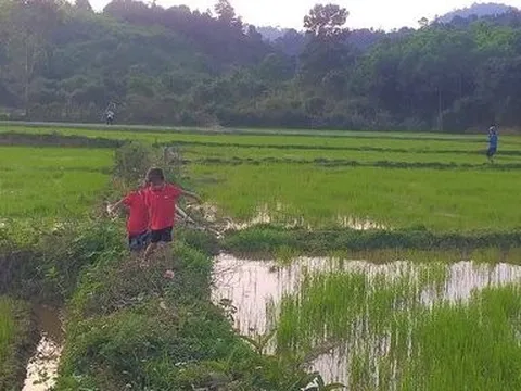 Hai hộ dân người Mã Liềng ở Quảng Bình viết đơn xin ra khỏi hộ nghèo