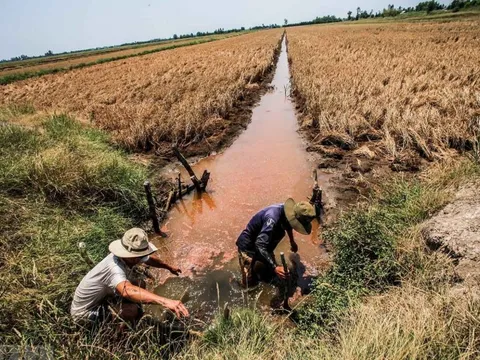 Chủ động ứng phó với xâm nhập mặn tại ĐBSCL