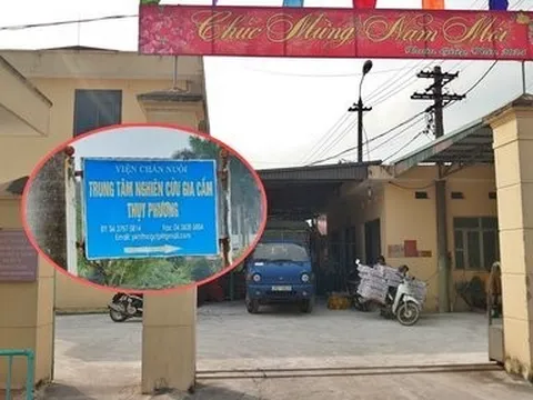 Dự án gà đẻ trứng cấp Nhà nước: Giờ họ mời tôi cũng không làm