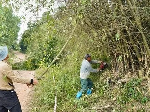 Cưỡng chế thu hồi hơn 1600m2 đất ở TT-Huế để làm công viên có vườn thú