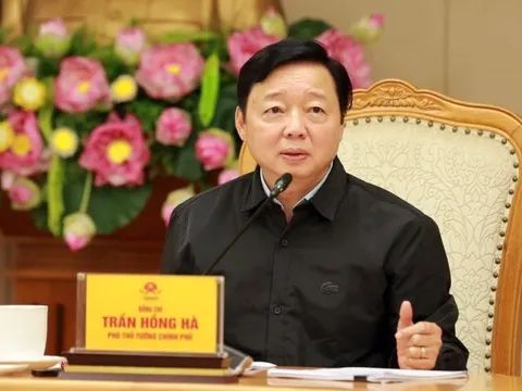 Giám sát việc tuân thủ quy định tái chế theo phương thức hậu kiểm