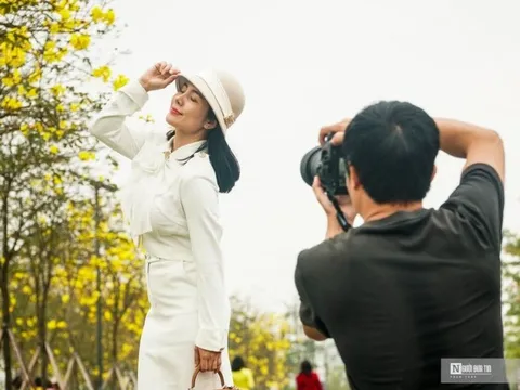 Người dân thích thú check in bên đường hoa phong linh rực vàng