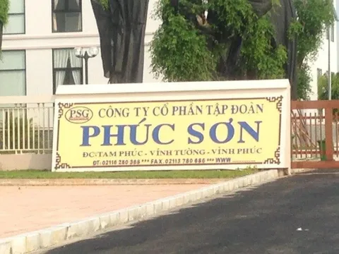 Tập đoàn Phúc Sơn nợ thuế hàng chục nghìn tỷ đồng, Phó Tổng Giám đốc mới học hết lớp 4