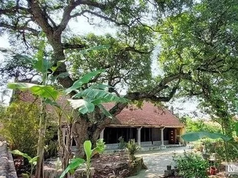 Ngôi chùa lưu giữ hai bảo vật quốc gia ở Hải Phòng