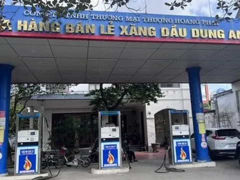 Công ty TNHH Thương mại Thượng Hoàng Phát bị phạt gần 260 triệu đồng
