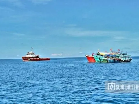 Kiên Giang: Tập trung tổng kiểm tra, rà soát tàu cá 3 không