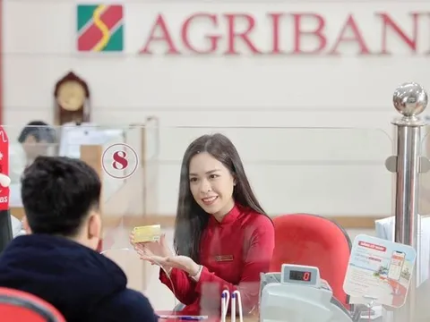 Một công ty có vốn điều lệ 12 tỷ đồng đang nợ Agribank gần 200 tỷ đồng