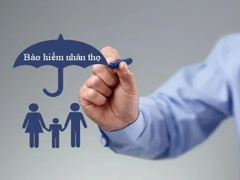 Năm 2024, Bộ Tài chính có kế hoạch thanh tra với 6 doanh nghiệp bảo hiểm