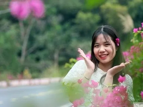 Du xuân trên tuyến đường đẹp nhất Hải Phòng tại đảo Cát Bà