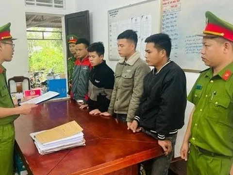 Huế: Bắt giam 4 đối tượng cưa trộm cây đem bán kiếm tiền tiêu xài