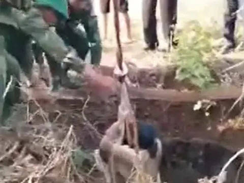 Đắk Lắk: Cứu người phụ nữ 52 tuổi sau 2 ngày rơi xuống giếng