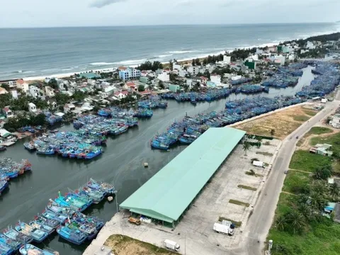 Bình Định: Sớm hoàn thiện thủ tục, xây khu trú bão cho tàu cá