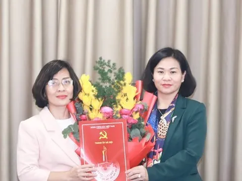 Điều động, luân chuyển, bổ nhiệm cán bộ chủ chốt ở Hà Nội và 11 tỉnh