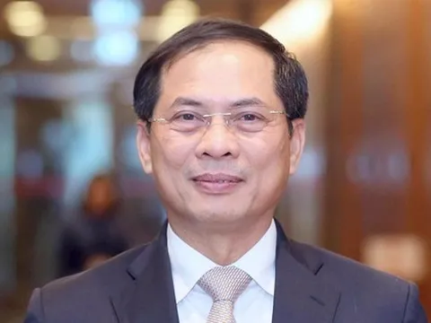 Lần đầu tiên chất vấn Bộ trưởng Bộ Ngoại giao Bùi Thanh Sơn