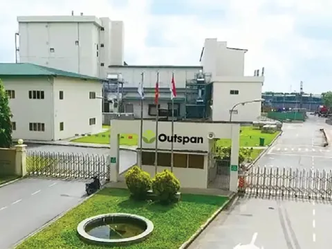 Ông trùm xuất khẩu cà phê rang xay và hòa tan đem về 100 triệu USD cho Việt Nam