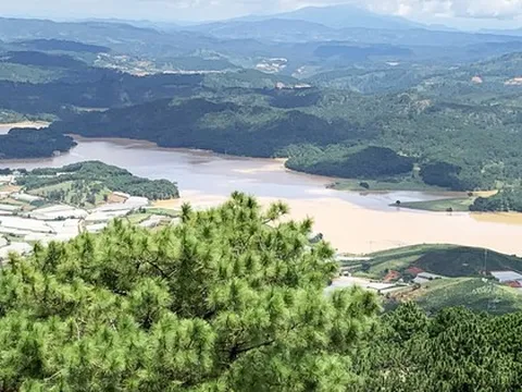 Tạm dừng việc bầu, bổ nhiệm, luân chuyển lãnh đạo 5 huyện, thành phố ở Lâm Đồng