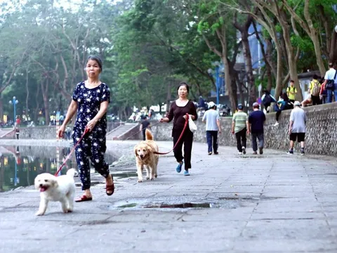 Tập trung thực hiện nghiêm công tác phòng, chống bệnh Dại