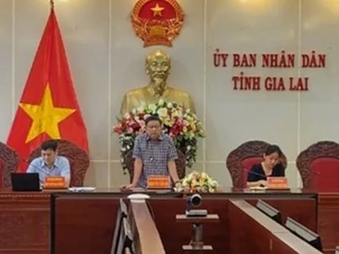Chánh Văn phòng UBND tỉnh Gia Lai xin nghỉ hưu trước tuổi