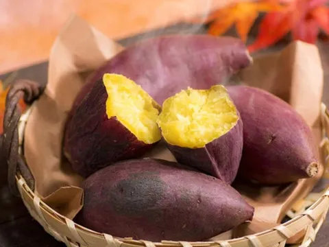 Loại củ tưởng rẻ như cho nhưng có tác dụng không ngờ