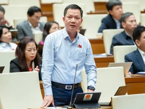 Phê chuẩn Ủy viên thường trực 2 Ủy ban của Quốc hội