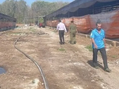 3 người tử vong trong trang trại nuôi heo ở Đồng Nai