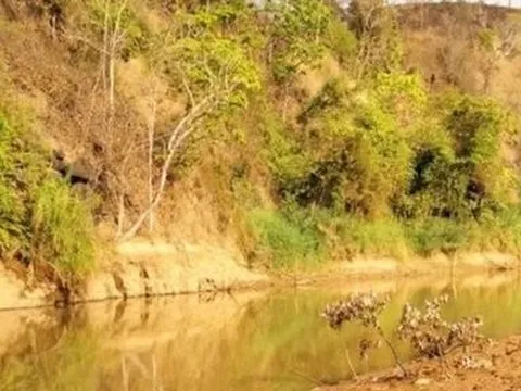 Gia Lai: 3 cháu nhỏ đuối nước thương tâm