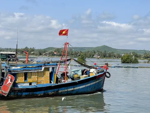 Quảng Ngãi: Kiên quyết, không nhân nhượng trong xử lý các trường hợp vi phạm IUU