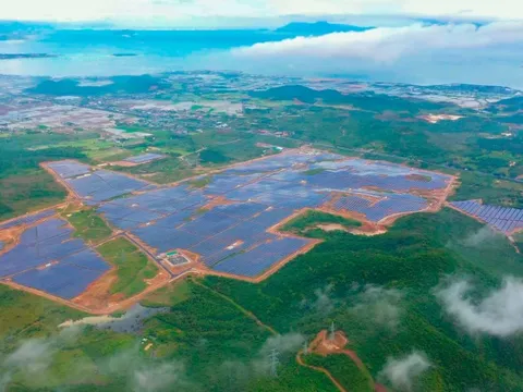 Gánh nặng lãi trái phiếu, Điện mặt trời KN Vạn Ninh báo lãi èo ọt hơn chục tỷ đồng