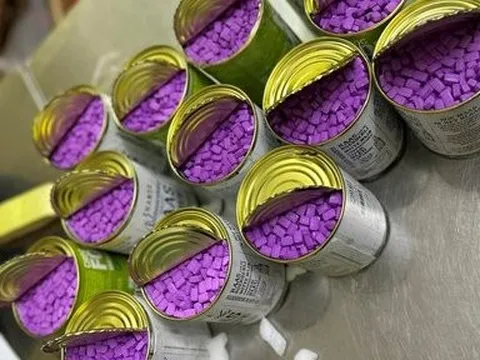 Phá đường dây vận chuyển ma tuý từ châu Âu về Việt Nam