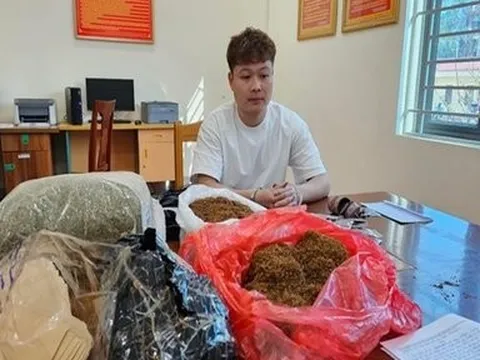 Khởi tố nam thanh niên bán “cỏ mỹ” cho khách