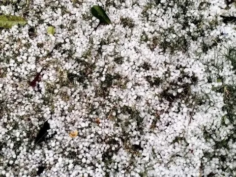 Không khí lạnh tràn về, mưa đá bất ngờ trút xuống Yên Bái trong sáng nay